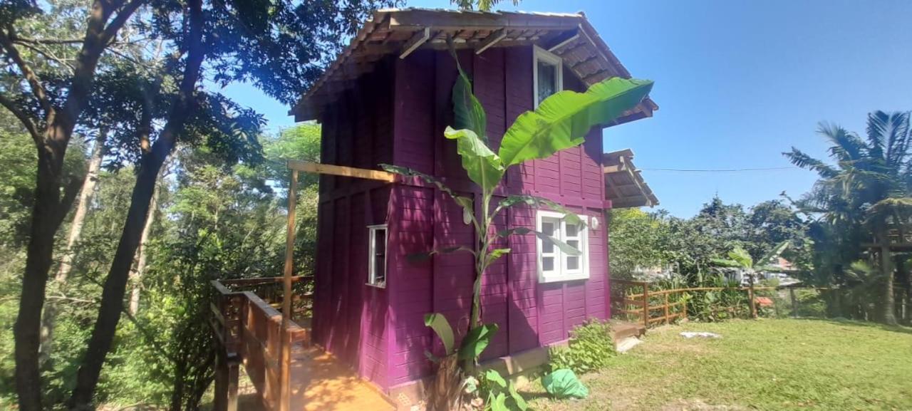 Violeta Aquarela Bombinhasヴィラ エクステリア 写真