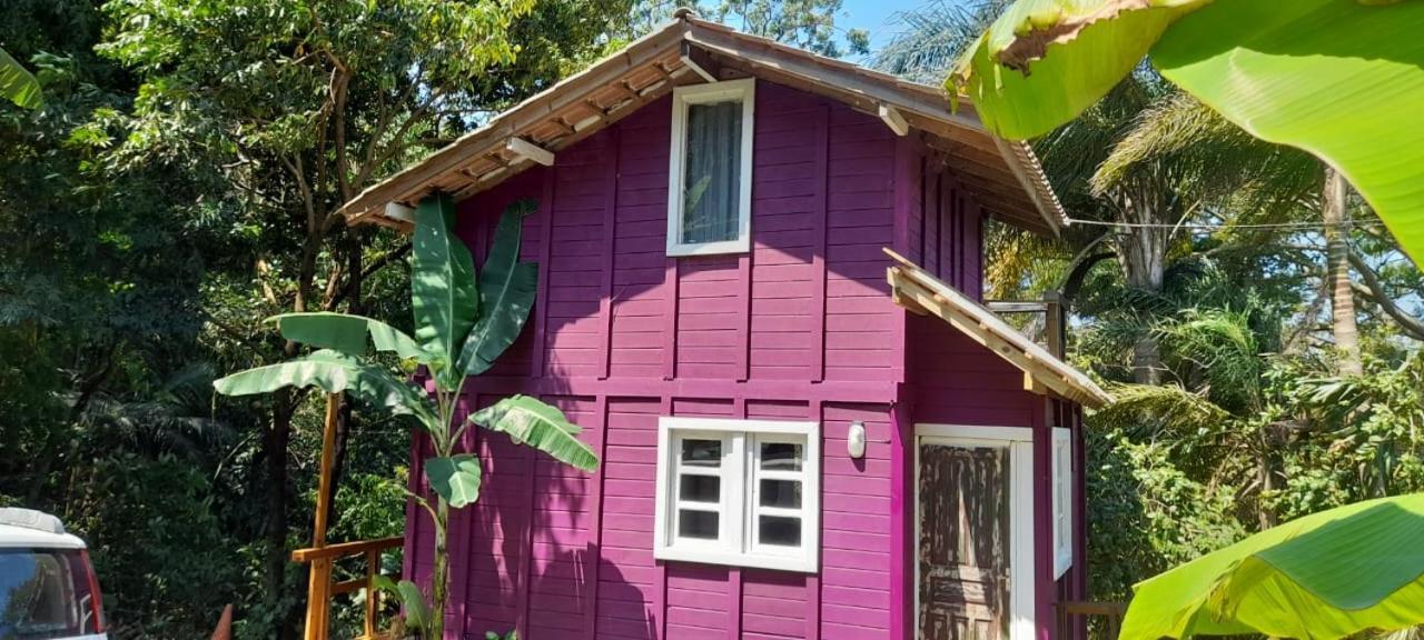 Violeta Aquarela Bombinhasヴィラ エクステリア 写真